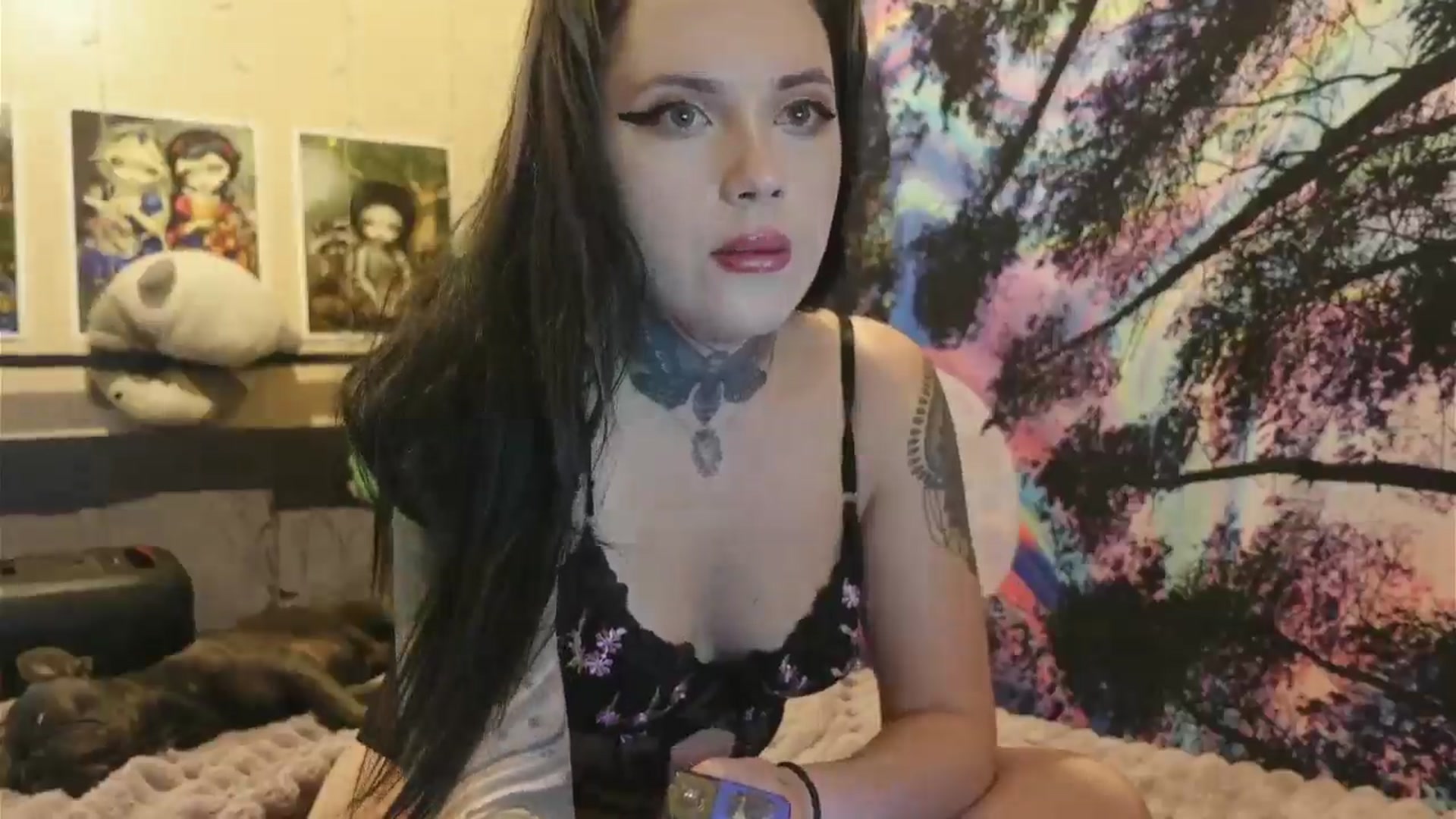 Gallery image thumbnail from hazelxxxoo's myfreecams stream on, 06/12/2024, 18:21 image 2 of 20