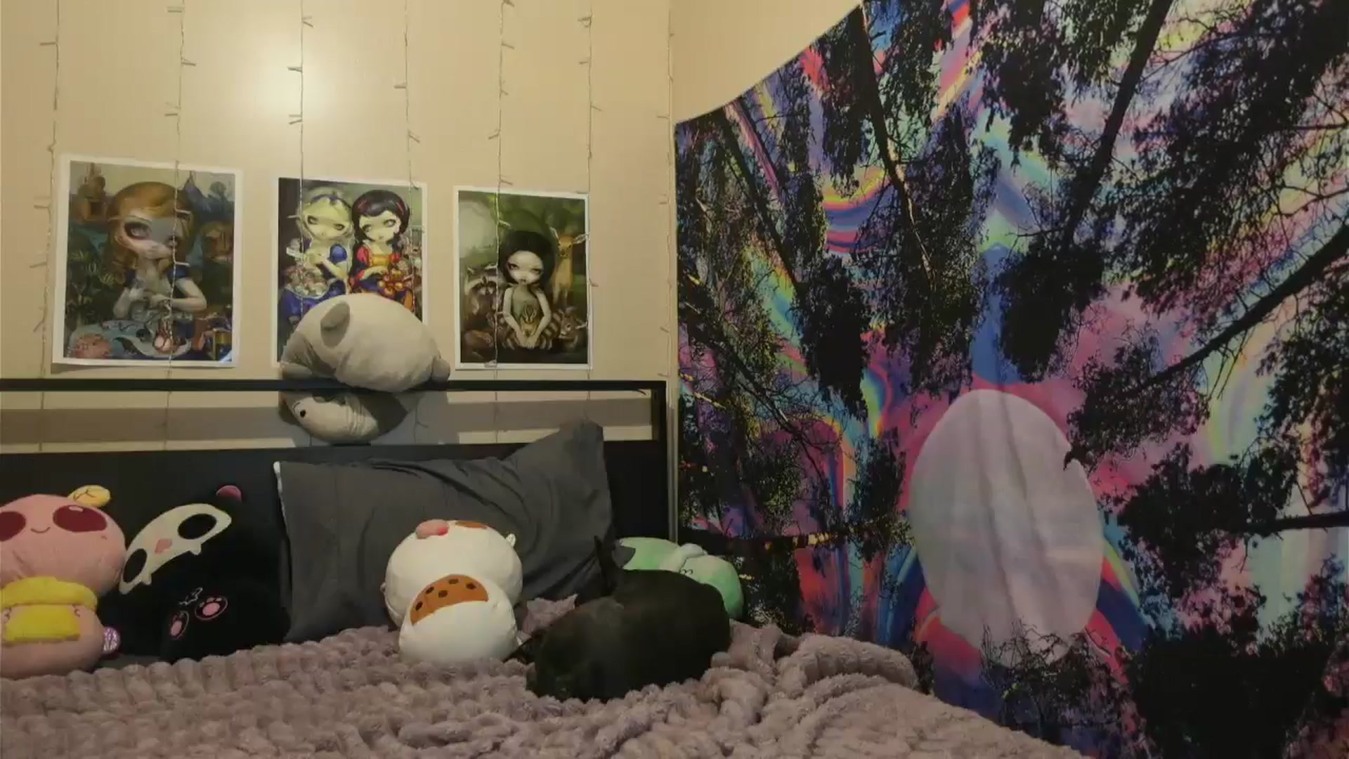Gallery image thumbnail from hazelxxxoo's myfreecams stream on, 06/19/2024, 03:07 image 5 of 20