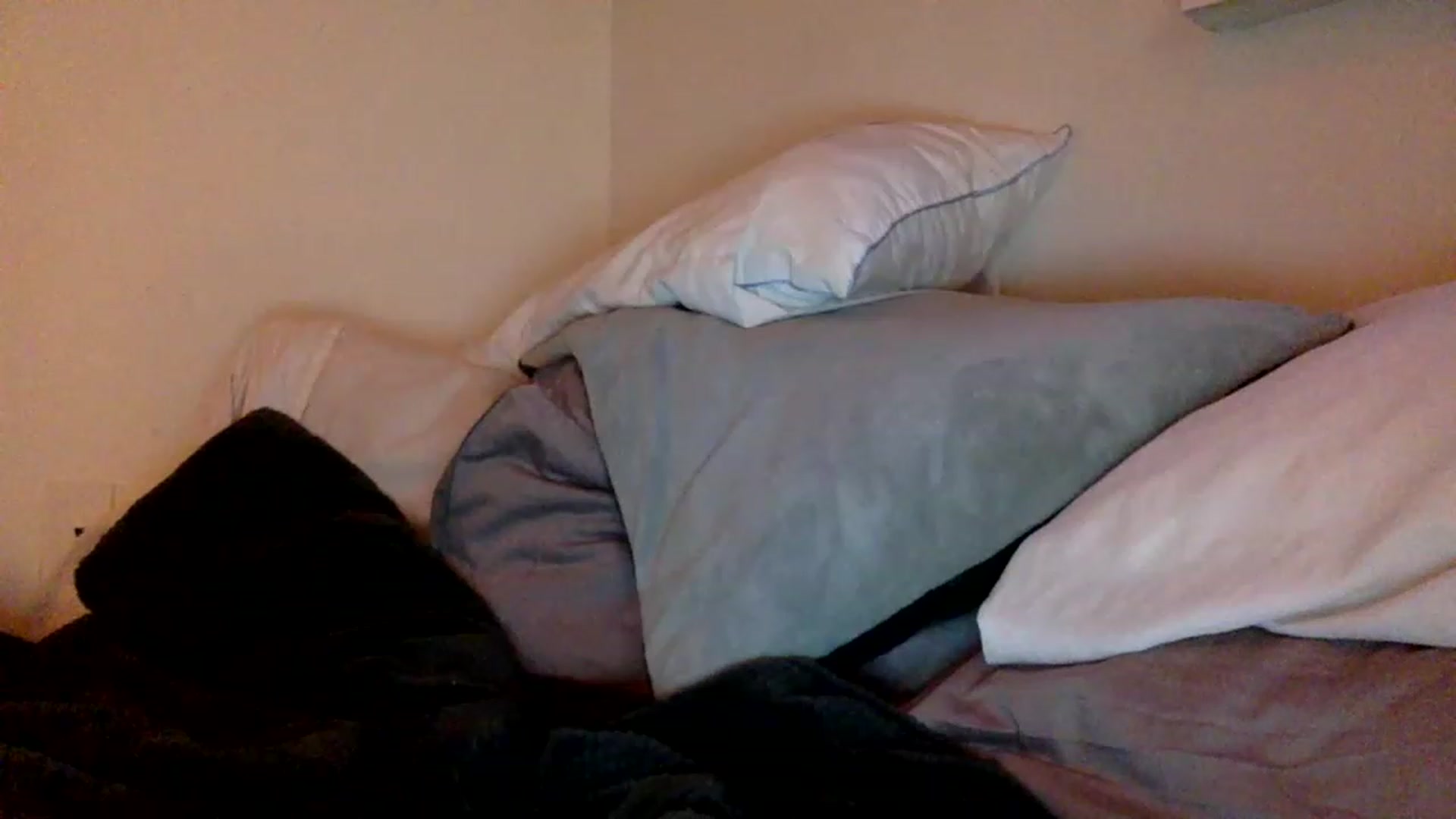 Gallery image thumbnail from heidixoxox's myfreecams stream on, 05/09/2023, 03:46 image 18 of 20