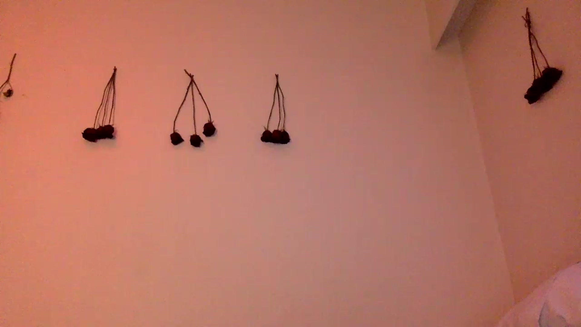 Gallery image thumbnail from heidixoxox's myfreecams stream on, 05/09/2023, 03:46 image 16 of 20