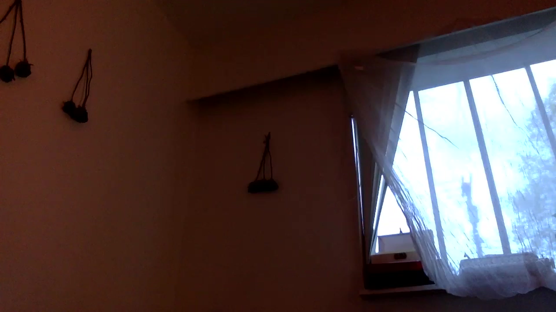 Gallery image thumbnail from heidixoxox's myfreecams stream on, 05/09/2023, 03:46 image 8 of 20