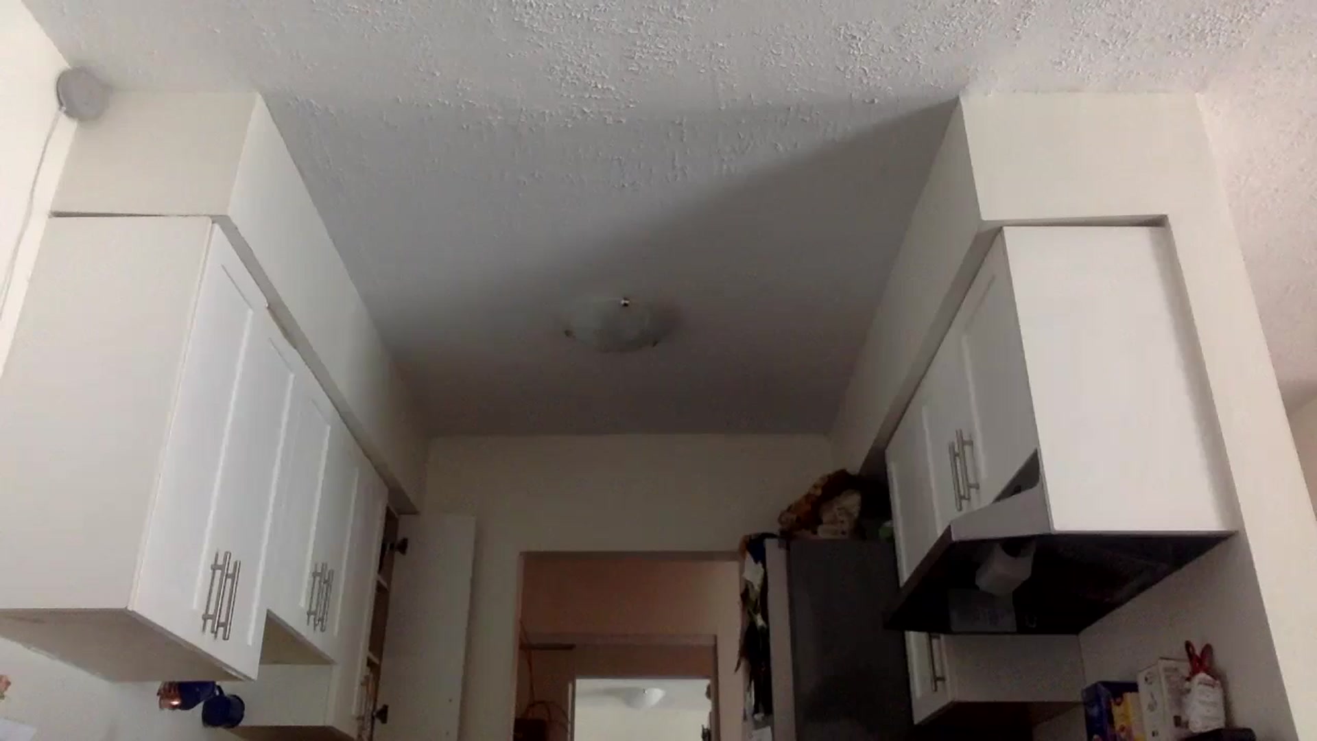 Gallery image thumbnail from heidixoxox's myfreecams stream on, 08/24/2023, 20:11 image 17 of 20