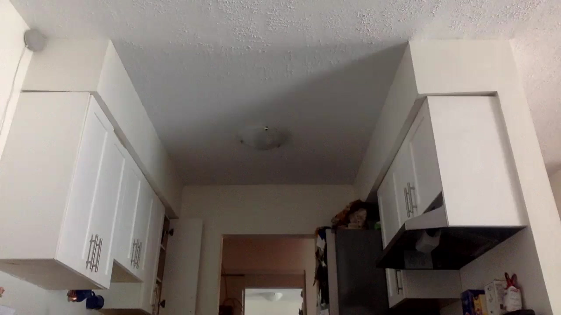 Gallery image thumbnail from heidixoxox's myfreecams stream on, 08/24/2023, 20:11 image 16 of 20
