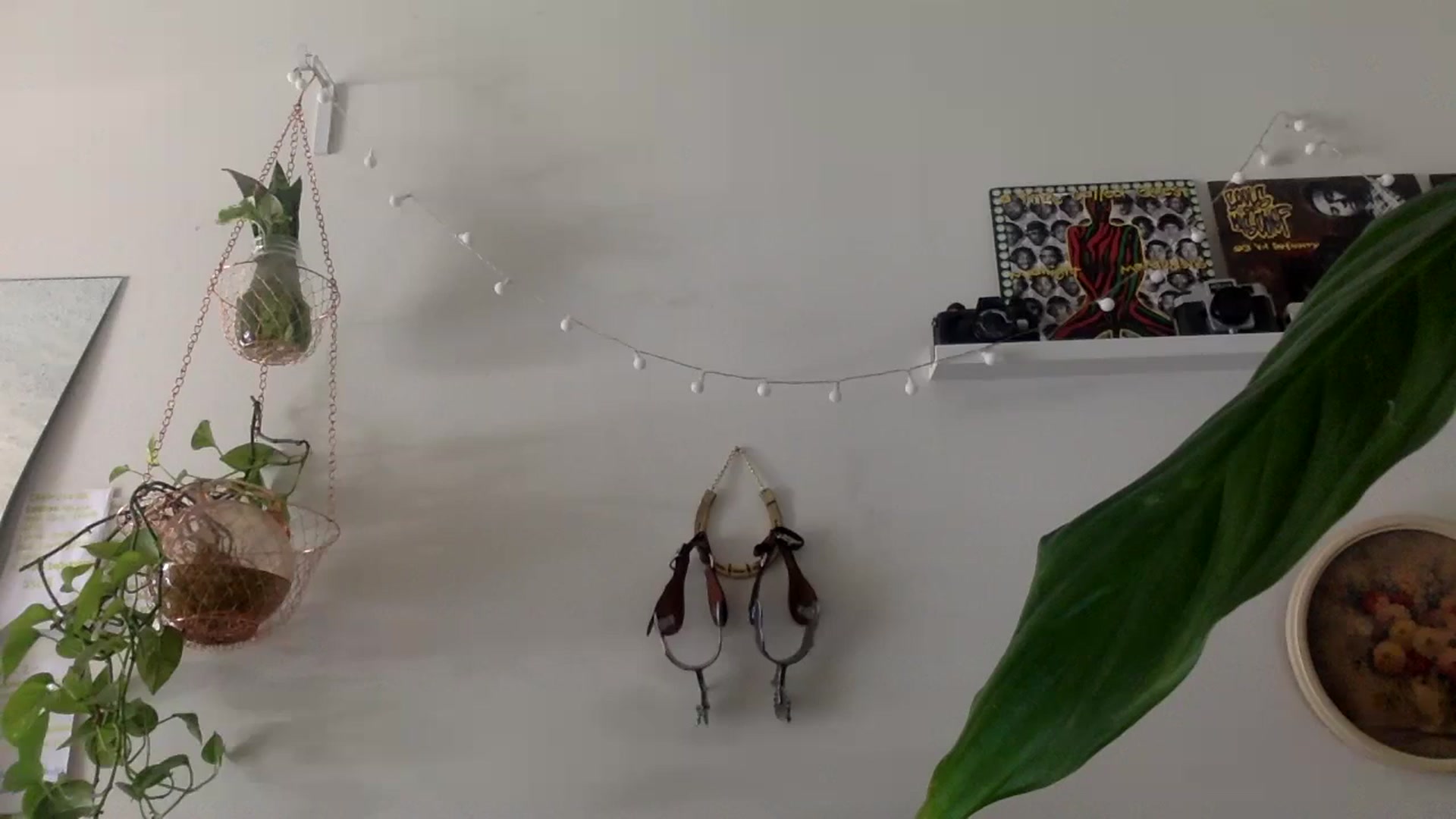 Gallery image thumbnail from heidixoxox's myfreecams stream on, 08/24/2023, 20:11 image 7 of 20