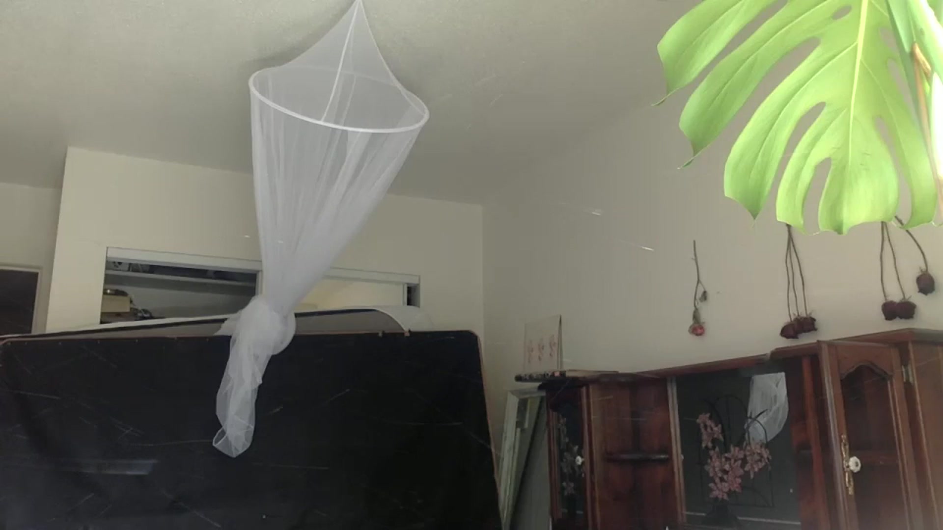 Gallery image thumbnail from heidixoxox's myfreecams stream on, 08/24/2023, 20:11 image 14 of 20
