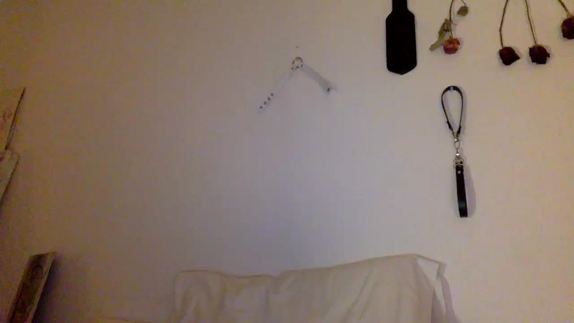 Gallery image thumbnail from heidixoxox's myfreecams stream on, 11/18/2023, 04:11 image 16 of 20