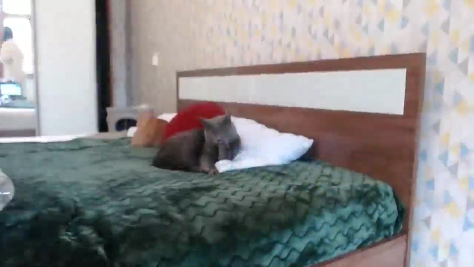 Gallery image thumbnail from hello_Ukraine's myfreecams stream on, 04/21/2026, 11:04 image 9 of 20