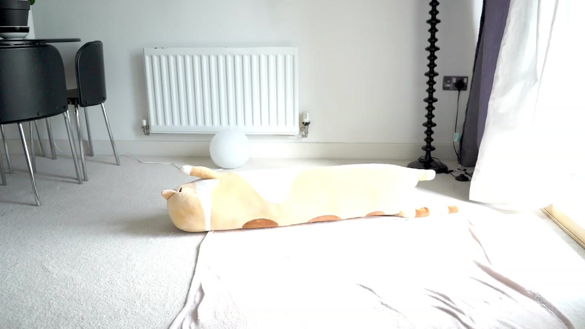 Gallery image thumbnail from hey_foxy's myfreecams stream on, 07/21/2023, 17:51 image 17 of 20