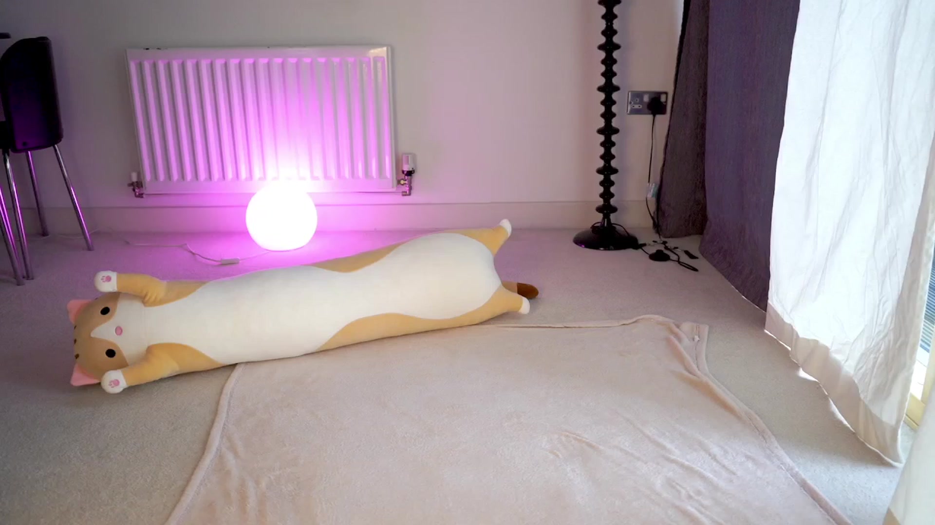 Gallery image thumbnail from hey_foxy's myfreecams stream on, 07/21/2023, 18:55 image 3 of 20