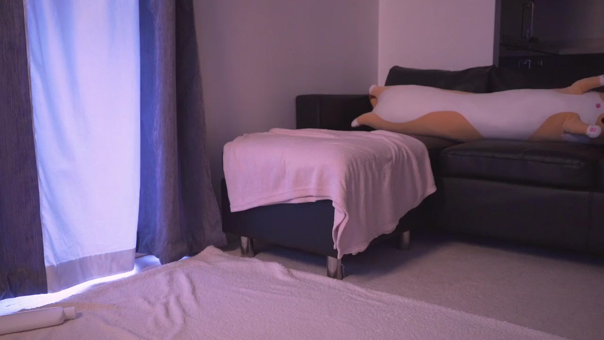Gallery image thumbnail from hey_foxy's myfreecams stream on, 03/23/2024, 18:20 image 7 of 20