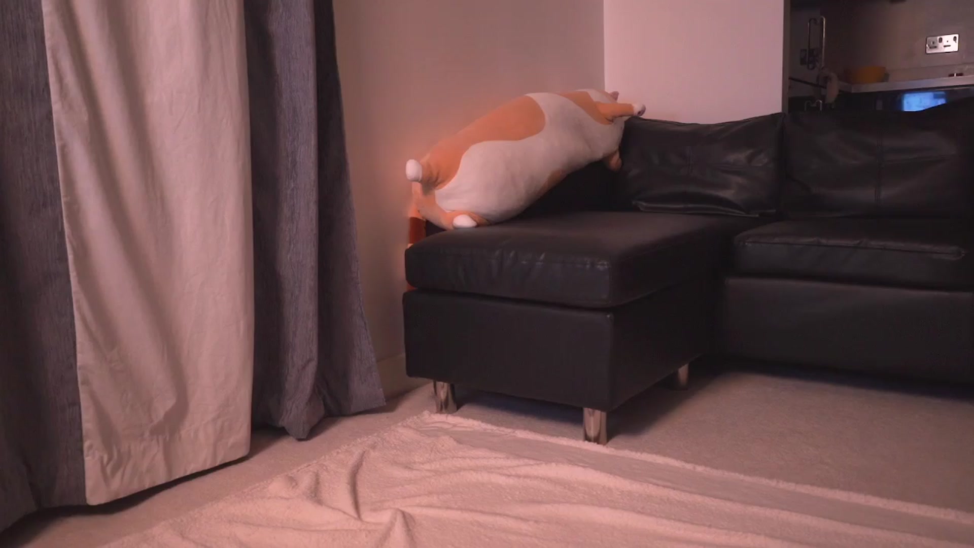 Gallery image thumbnail from hey_foxy's myfreecams stream on, 04/12/2024, 23:04 image 19 of 20