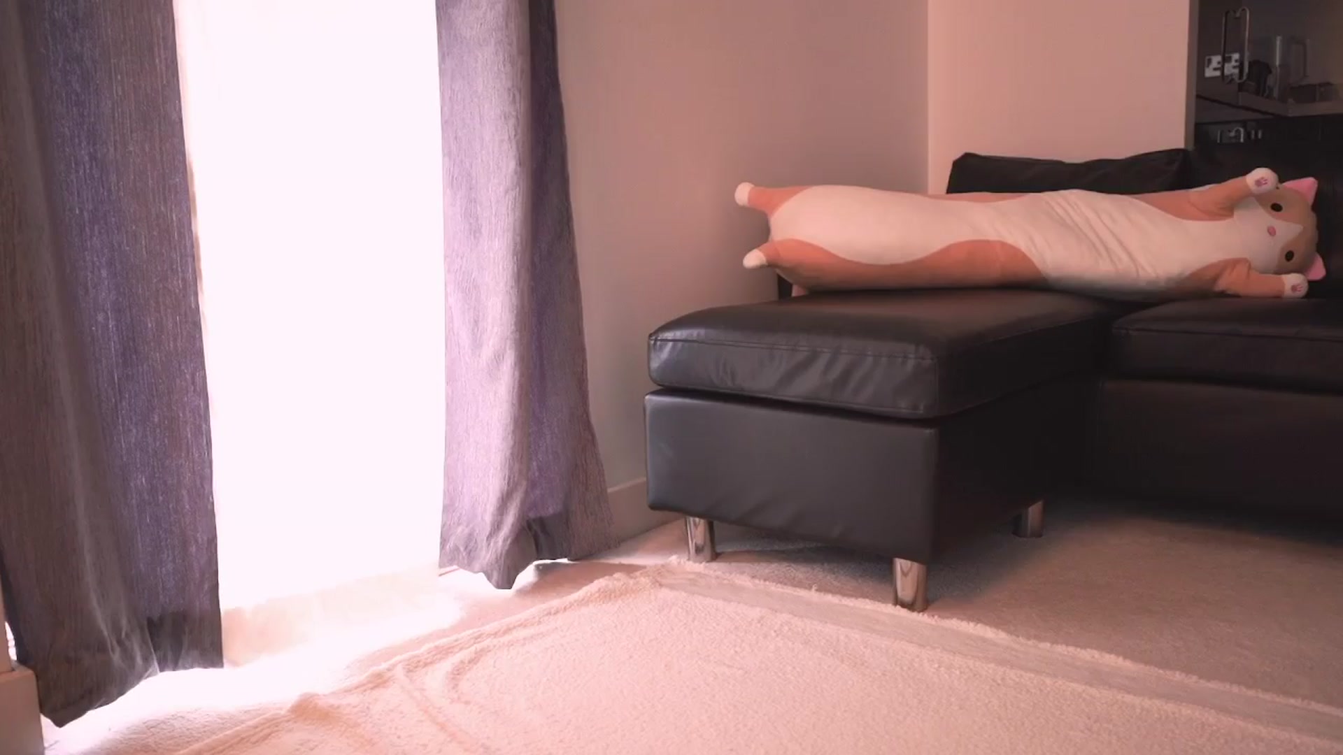 Gallery image thumbnail from hey_foxy's myfreecams stream on, 04/13/2024, 17:38 image 3 of 20