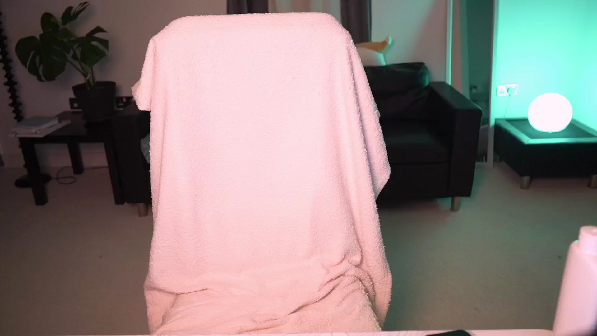 Gallery image thumbnail from hey_foxy's myfreecams stream on, 06/29/2024, 23:25 image 4 of 20