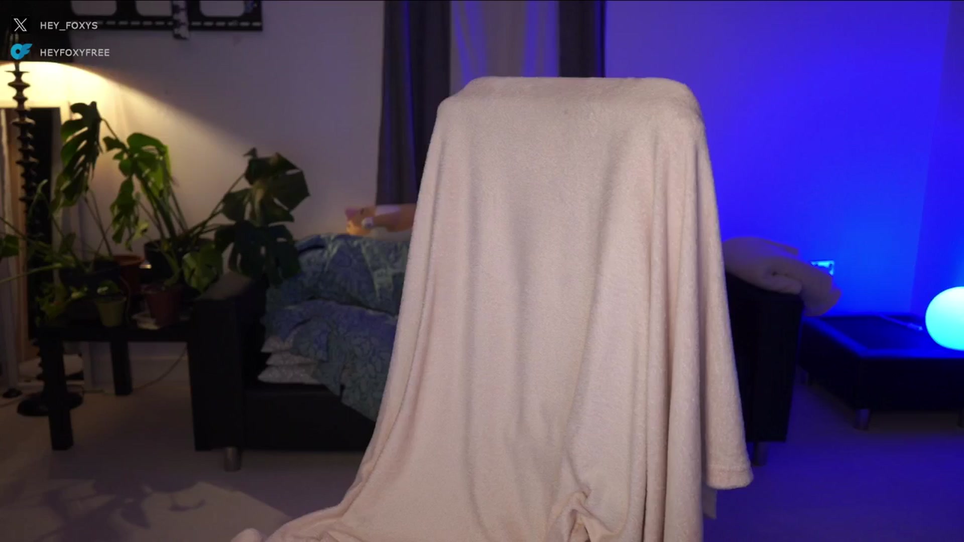 Gallery image thumbnail from hey_foxy's myfreecams stream on, 10/13/2024, 24:22 image 6 of 20