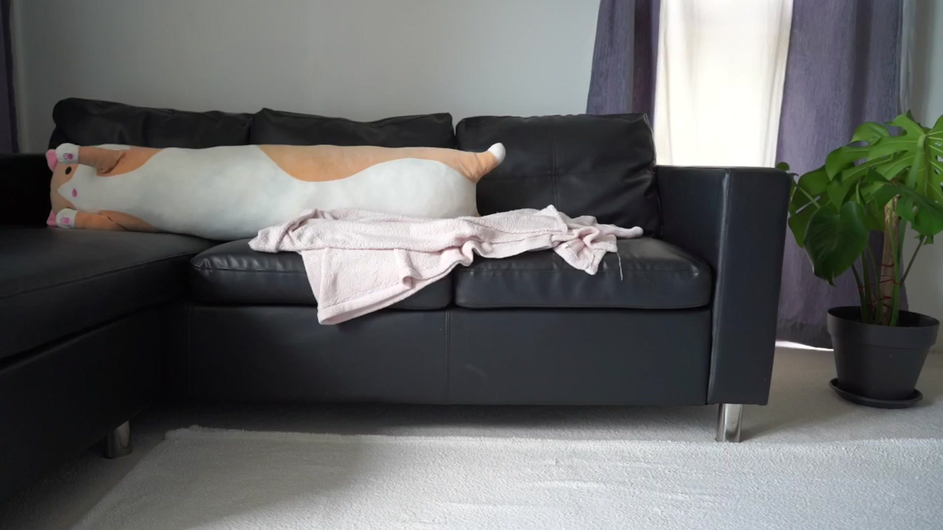 Gallery image thumbnail from hey_foxy's myfreecams stream on, 05/06/2025, 14:03 image 6 of 20