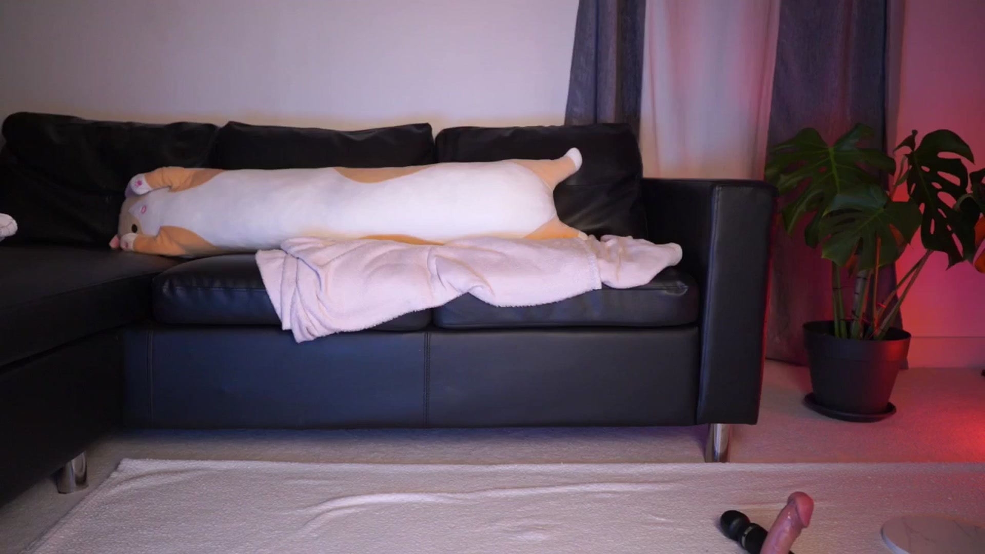 Gallery image thumbnail from hey_foxy's myfreecams stream on, 05/07/2025, 22:29 image 18 of 20