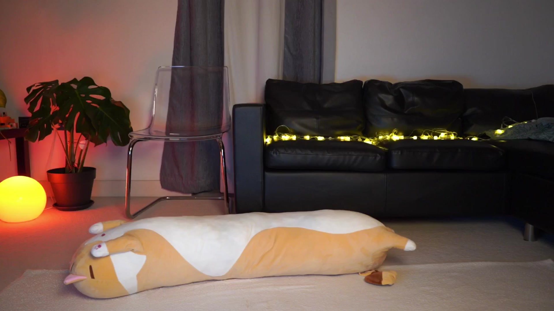 Gallery image thumbnail from hey_foxy's myfreecams stream on, 06/18/2025, 24:29 image 6 of 20