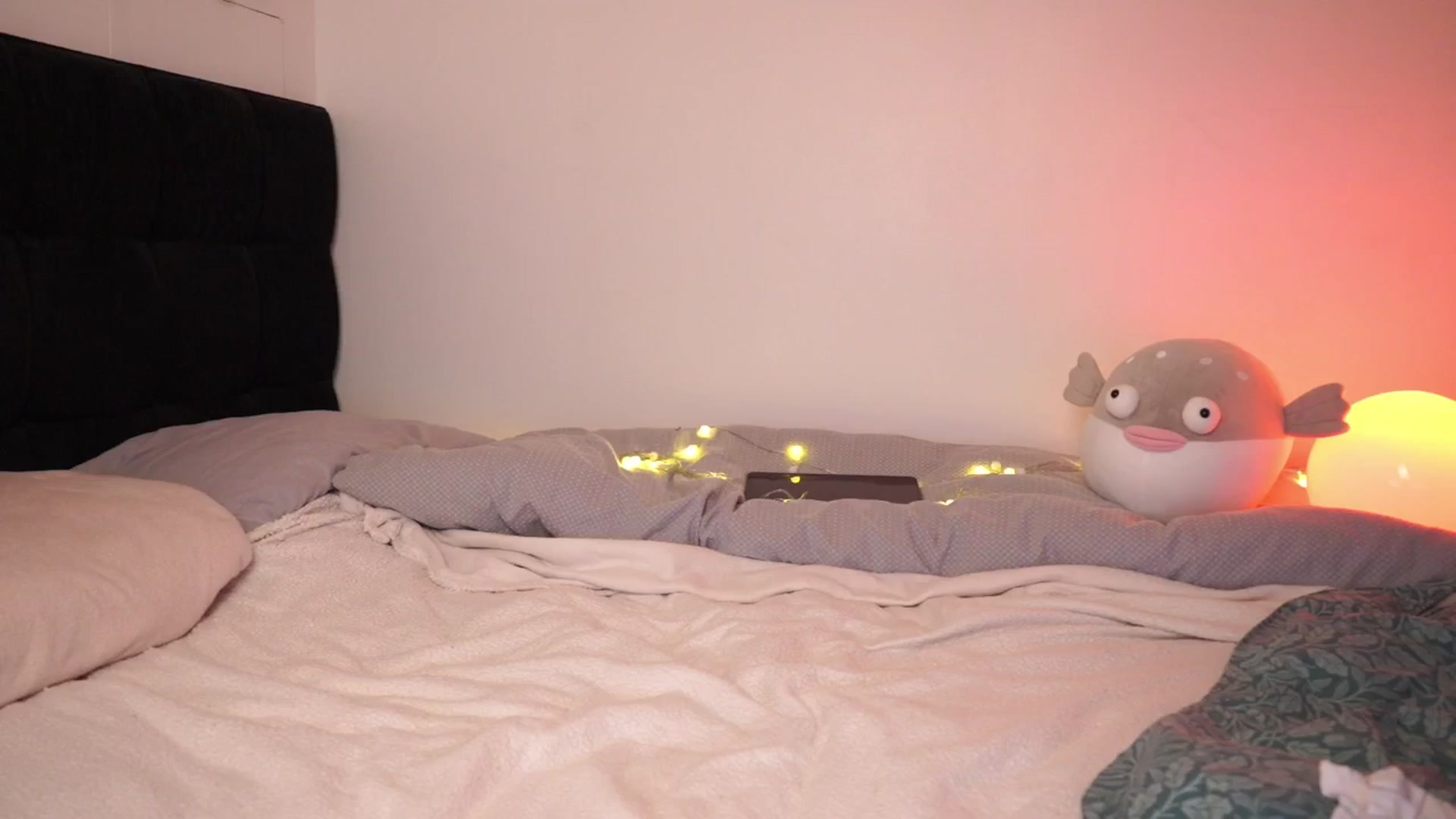 Gallery image thumbnail from hey_foxy's myfreecams stream on, 11/07/2025, 07:04 image 20 of 20