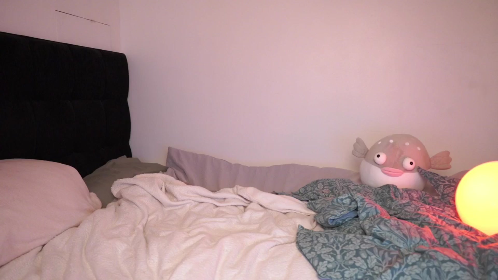 Gallery image thumbnail from hey_foxy's myfreecams stream on, 11/11/2025, 06:59 image 18 of 20
