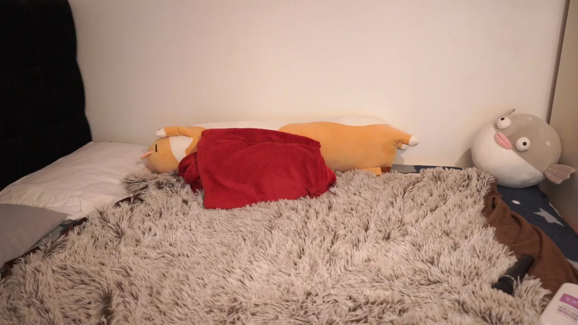 Gallery image thumbnail from hey_foxy's myfreecams stream on, 03/14/2026, 21:58 image 12 of 20