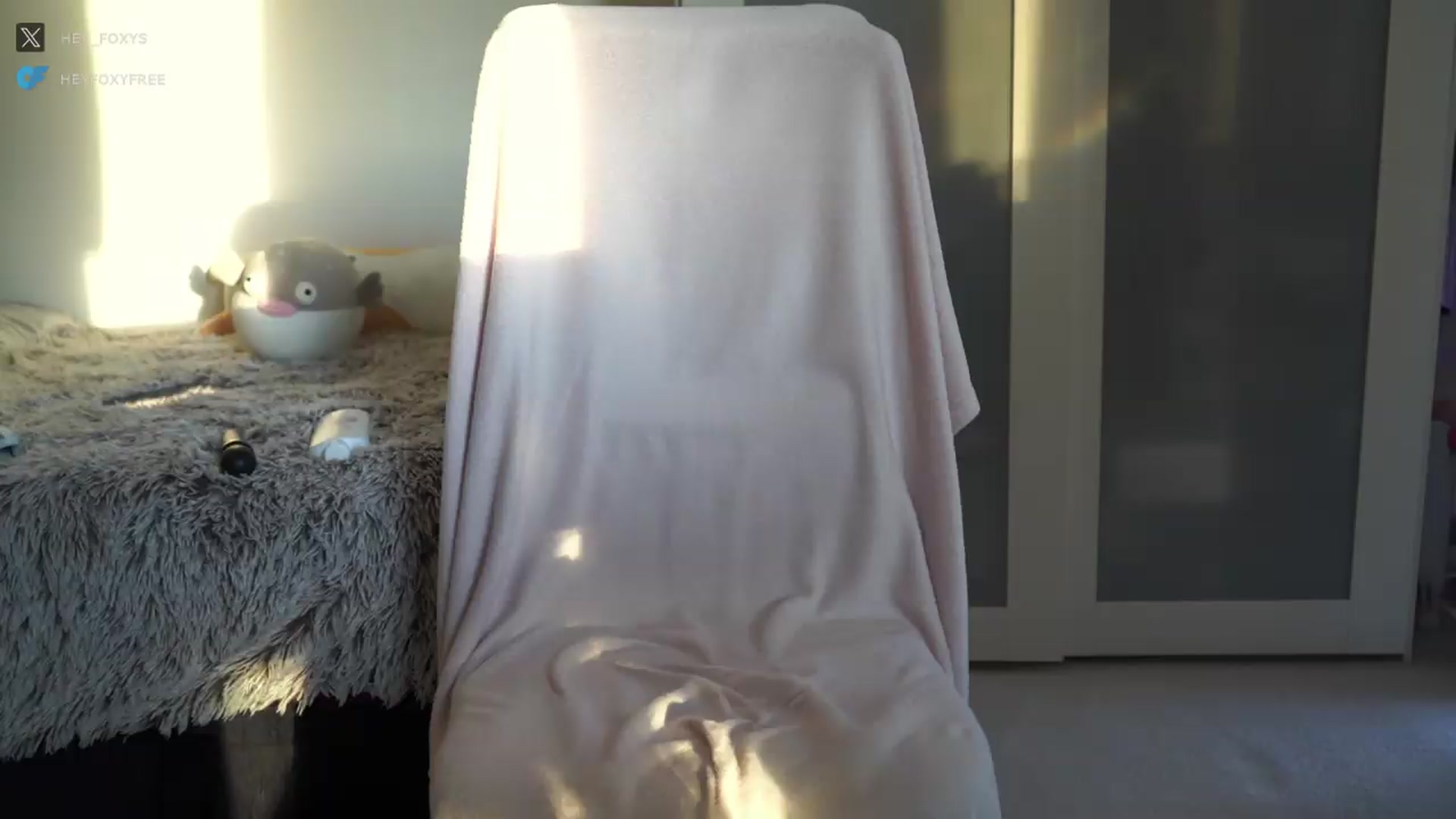 Gallery image thumbnail from hey_foxy's myfreecams stream on, 08/01/2026, 20:31 image 12 of 20