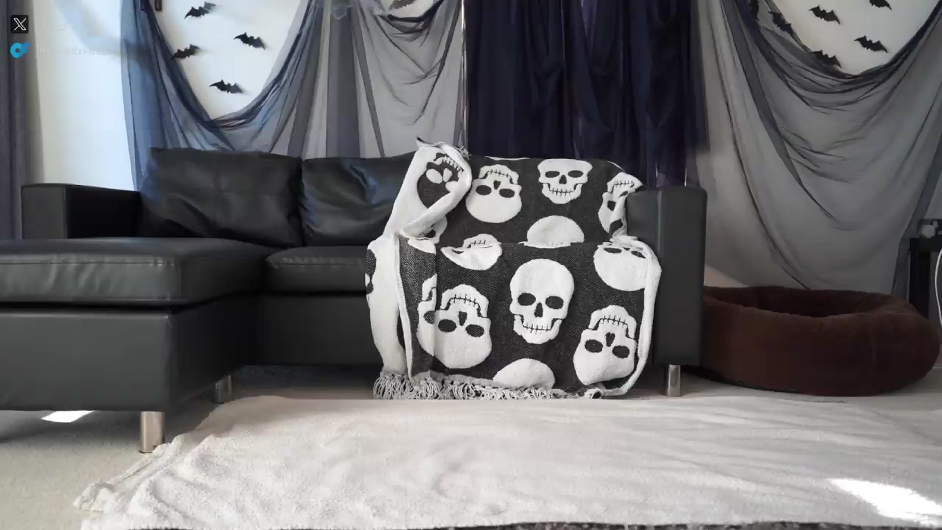 Gallery image thumbnail from hey_foxy's myfreecams stream on, 09/05/2026, 17:00 image 5 of 20