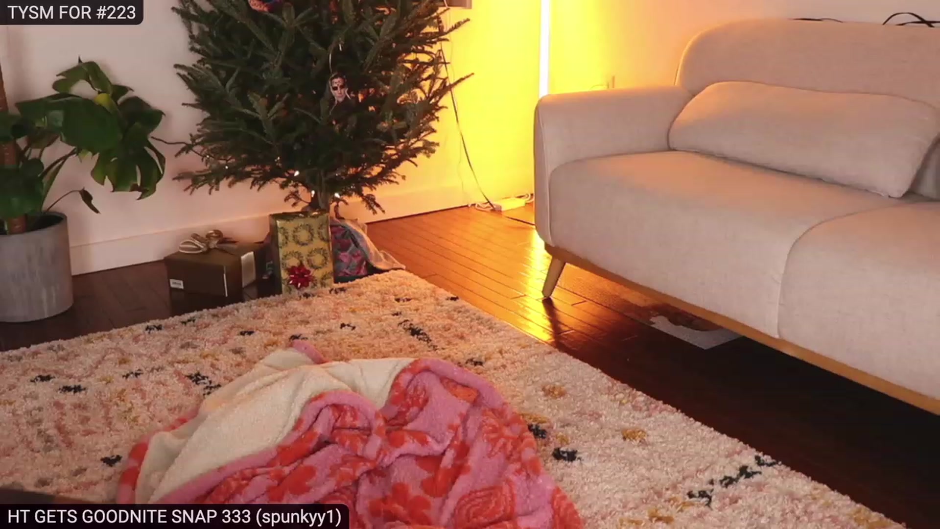Gallery image thumbnail from heystellar's myfreecams stream on, 12/10/2022, 04:20 image 6 of 20