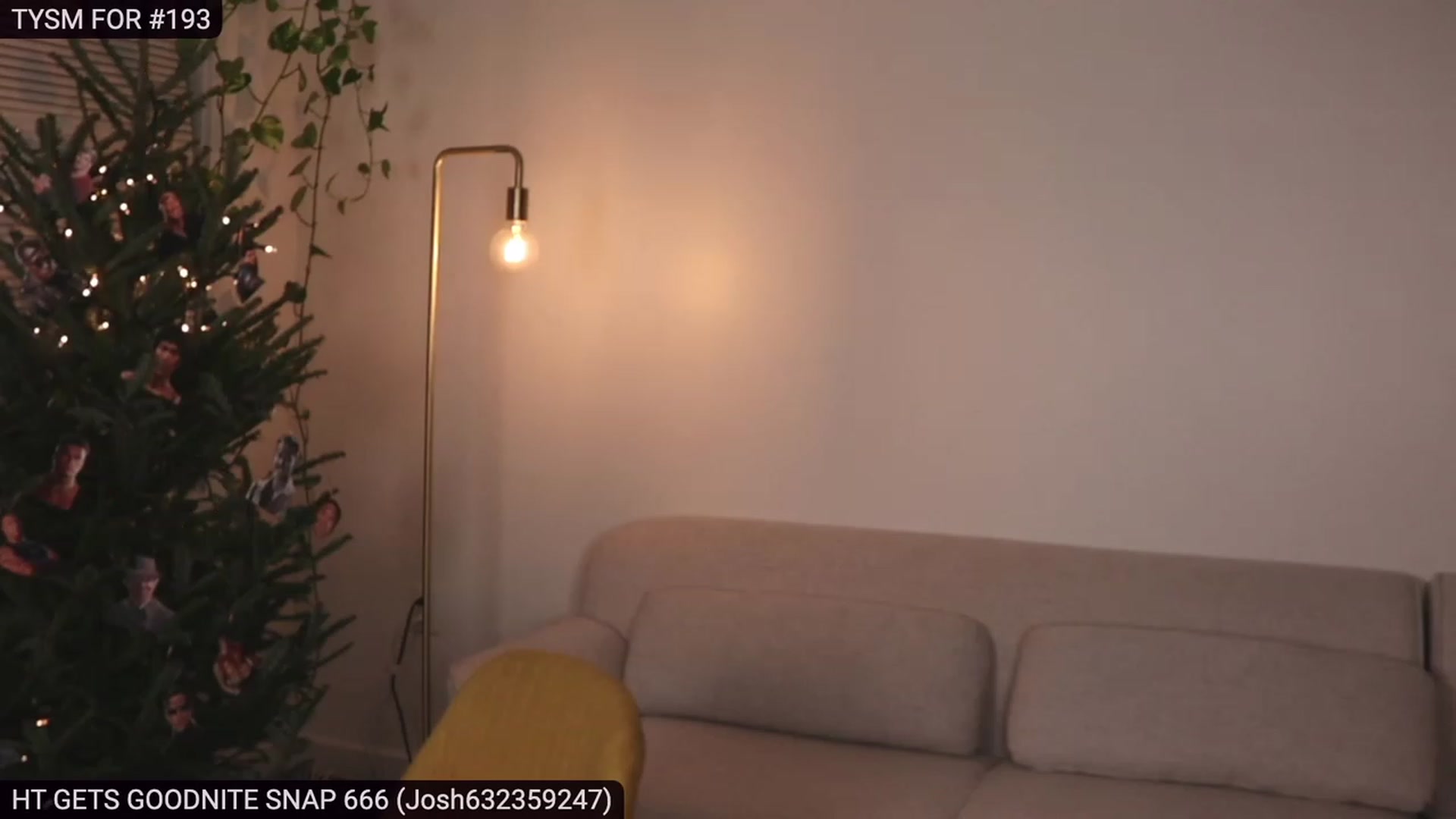Gallery image thumbnail from heystellar's myfreecams stream on, 12/13/2022, 04:07 image 18 of 20