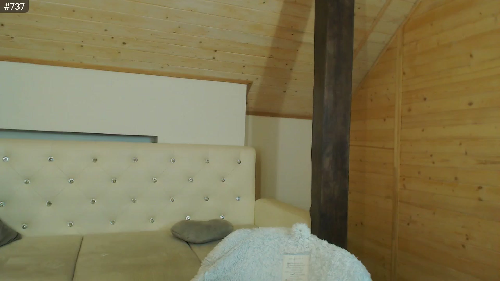 Gallery image thumbnail from hiSasha's myfreecams stream on, 12/11/2022, 22:11 image 9 of 20
