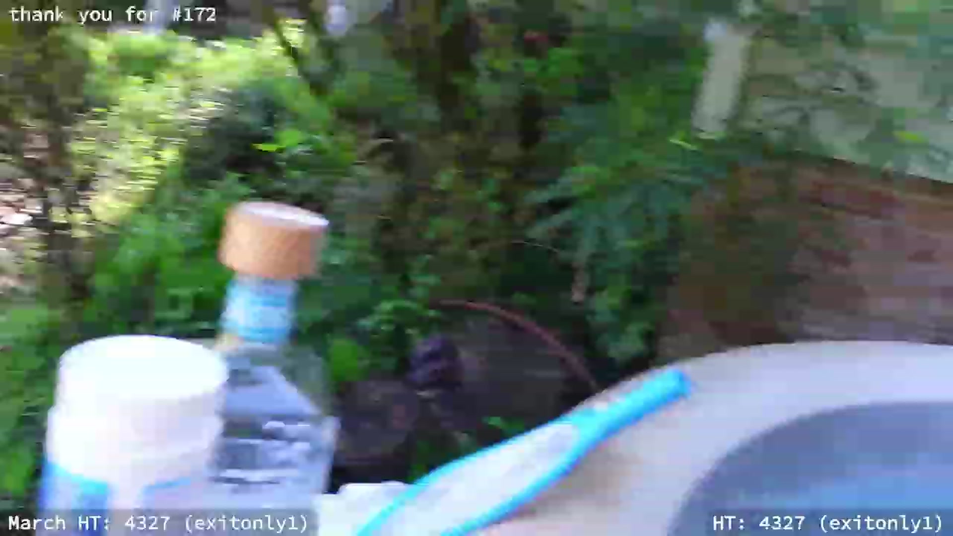 Gallery image thumbnail from hi_ella's myfreecams stream on, 03/09/2023, 19:02 image 10 of 20