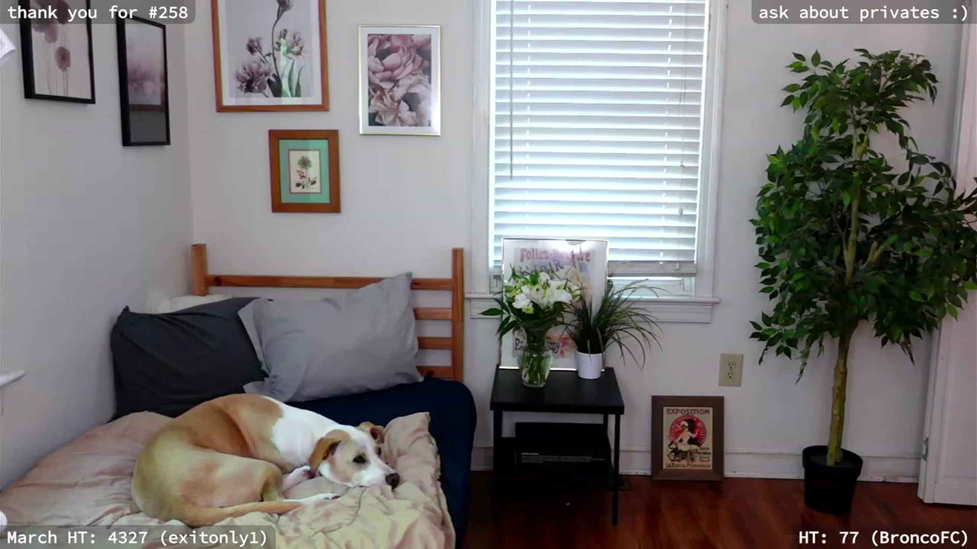 Gallery image thumbnail from hi_ella's myfreecams stream on, 03/30/2023, 15:59 image 18 of 20