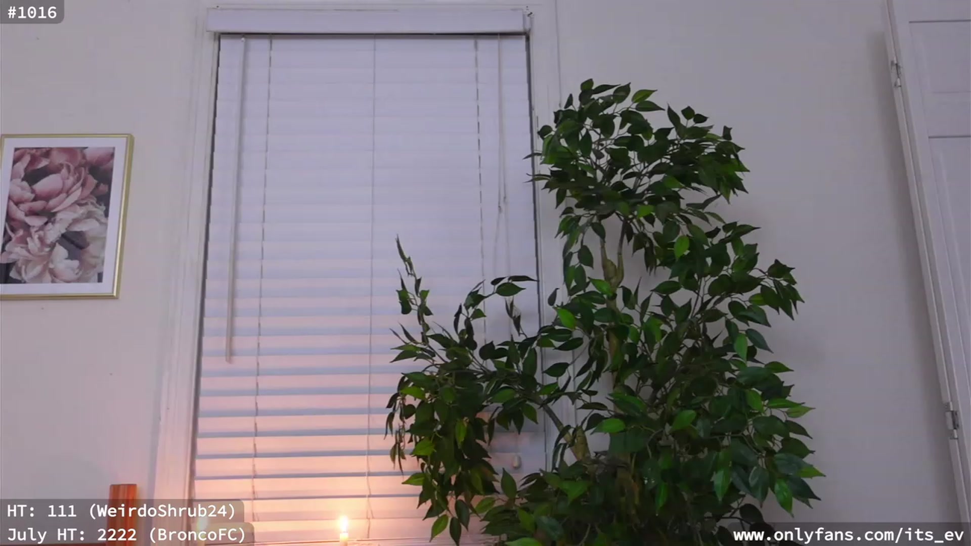 Gallery image thumbnail from hi_ella's myfreecams stream on, 07/21/2023, 01:40 image 8 of 20
