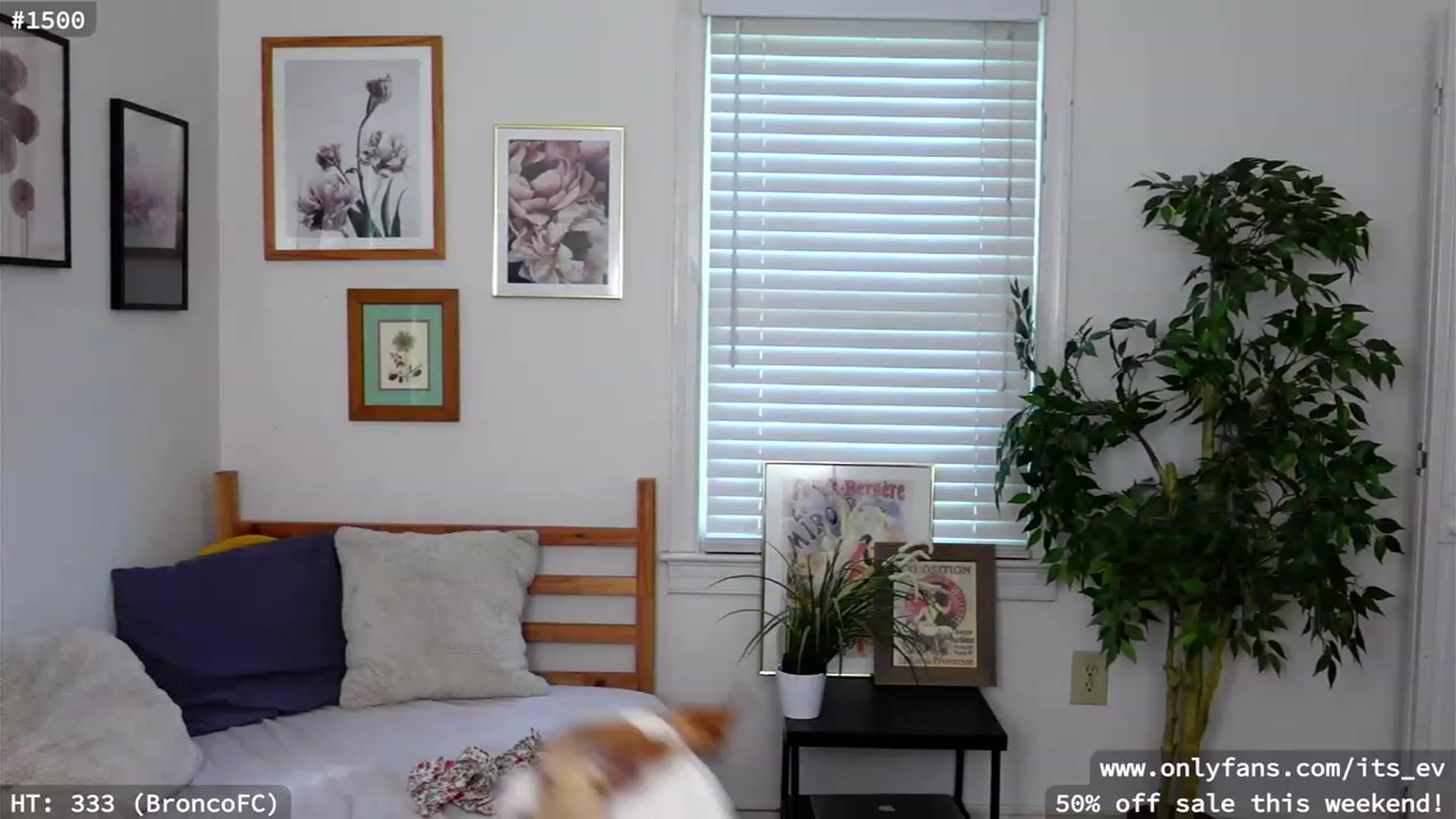 Gallery image thumbnail from hi_ella's myfreecams stream on, 09/02/2023, 19:35 image 10 of 20