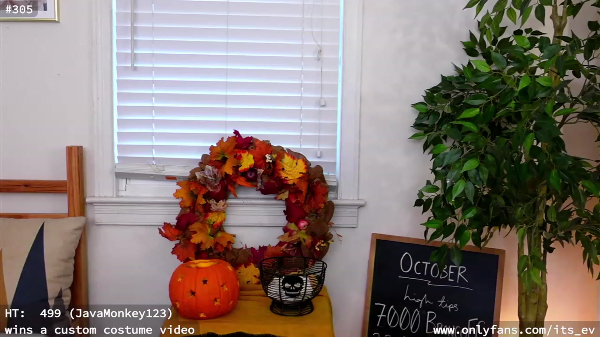 Gallery image thumbnail from hi_ella's myfreecams stream on, 10/27/2023, 19:59 image 13 of 20