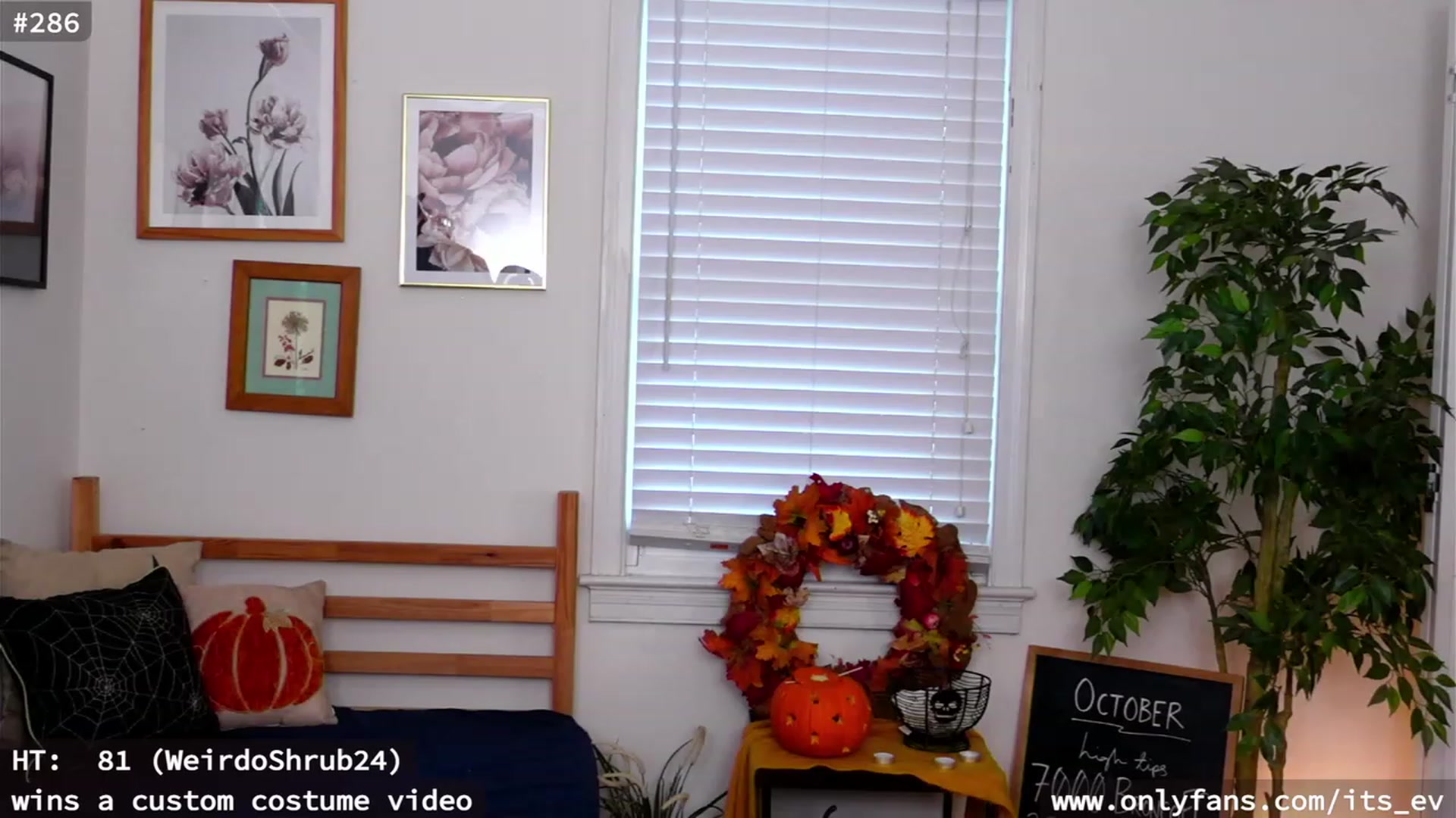 Gallery image thumbnail from hi_ella's myfreecams stream on, 10/28/2023, 19:30 image 8 of 20