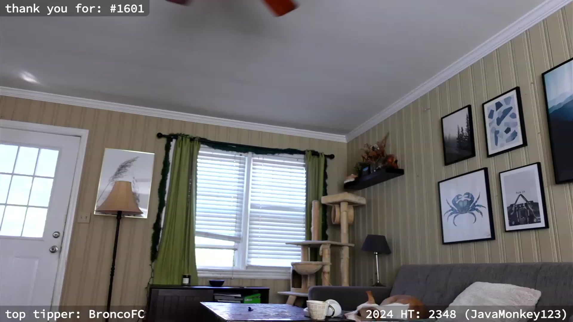 Gallery image thumbnail from hi_ella's myfreecams stream on, 01/27/2024, 20:00 image 10 of 20