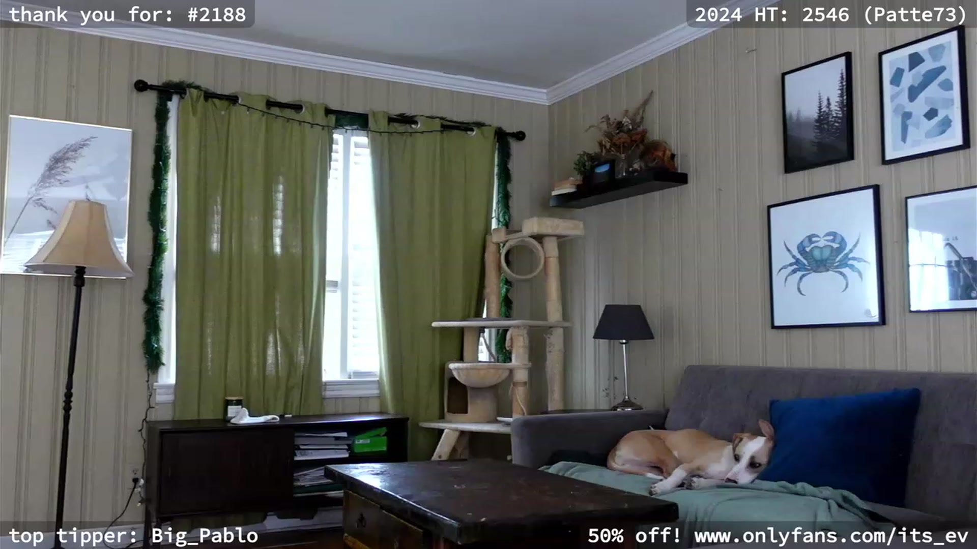 Gallery image thumbnail from hi_ella's myfreecams stream on, 02/09/2024, 20:02 image 3 of 20