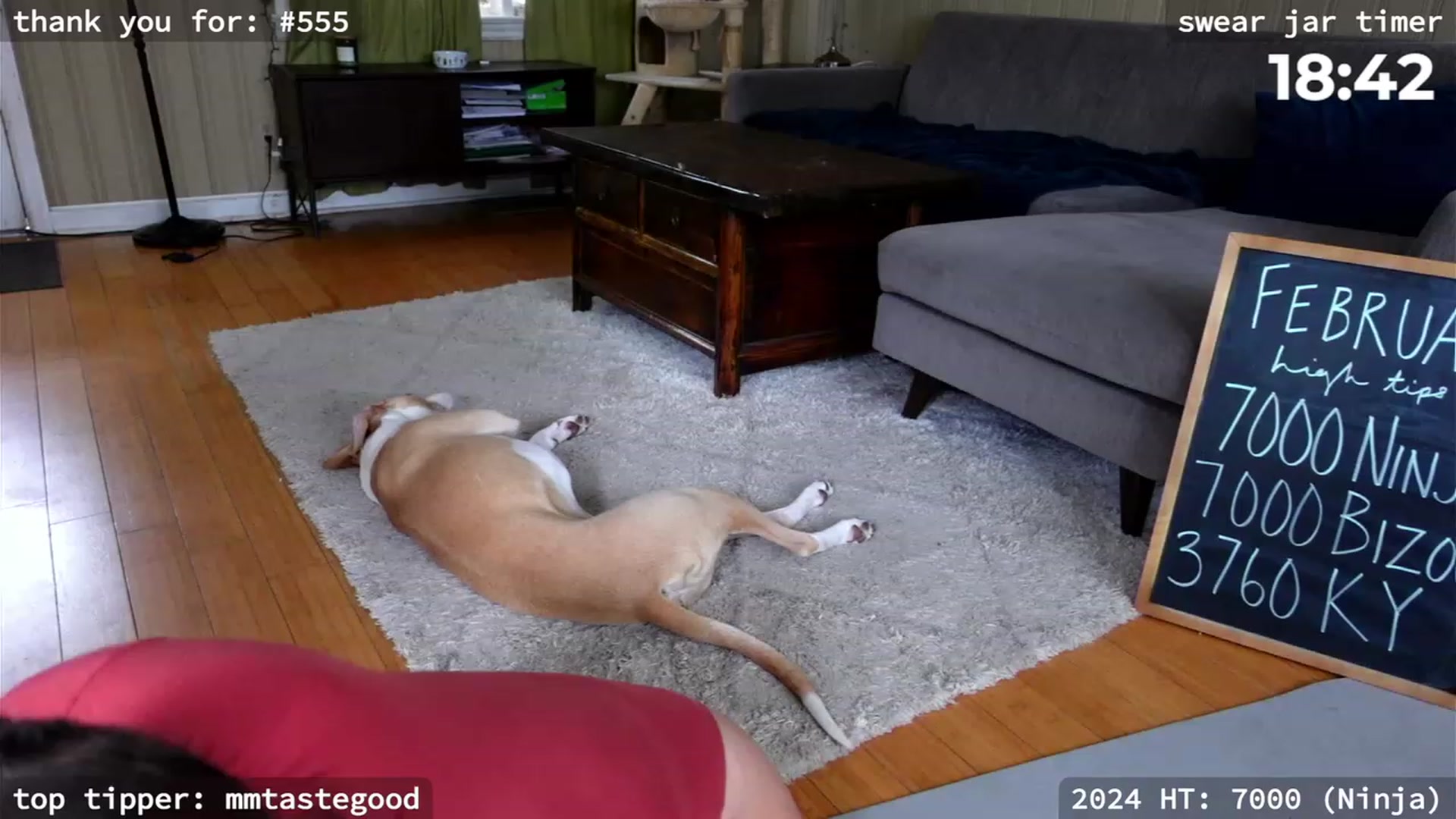 Gallery image thumbnail from hi_ella's myfreecams stream on, 02/17/2024, 20:54 image 10 of 20