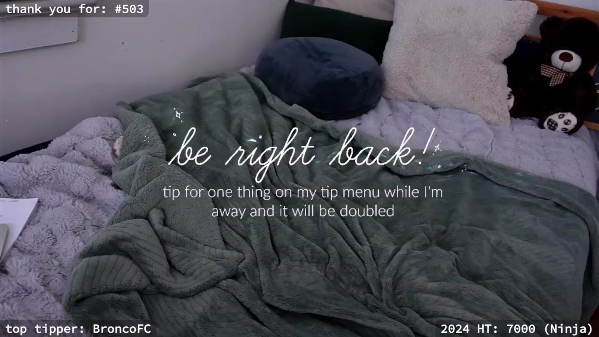 Gallery image thumbnail from hi_ella's myfreecams stream on, 02/25/2024, 20:41 image 17 of 20