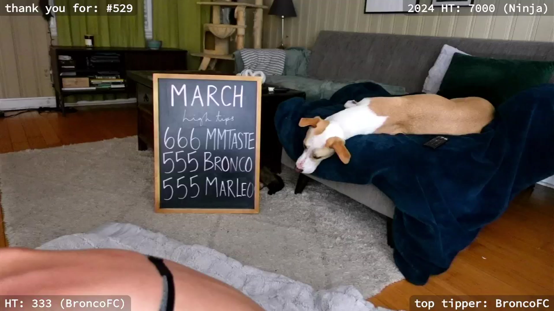 Gallery image thumbnail from hi_ella's myfreecams stream on, 03/04/2024, 02:47 image 3 of 20