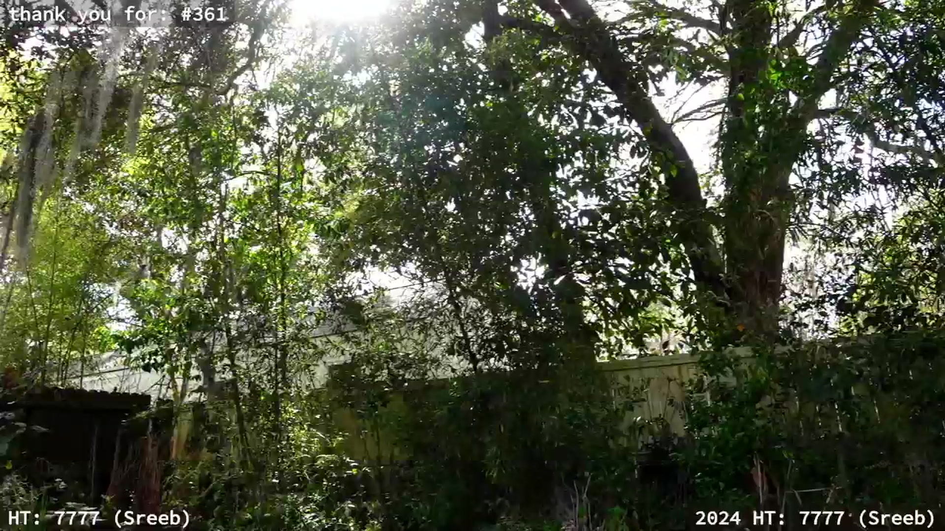Gallery image thumbnail from hi_ella's myfreecams stream on, 03/16/2024, 20:52 image 10 of 20