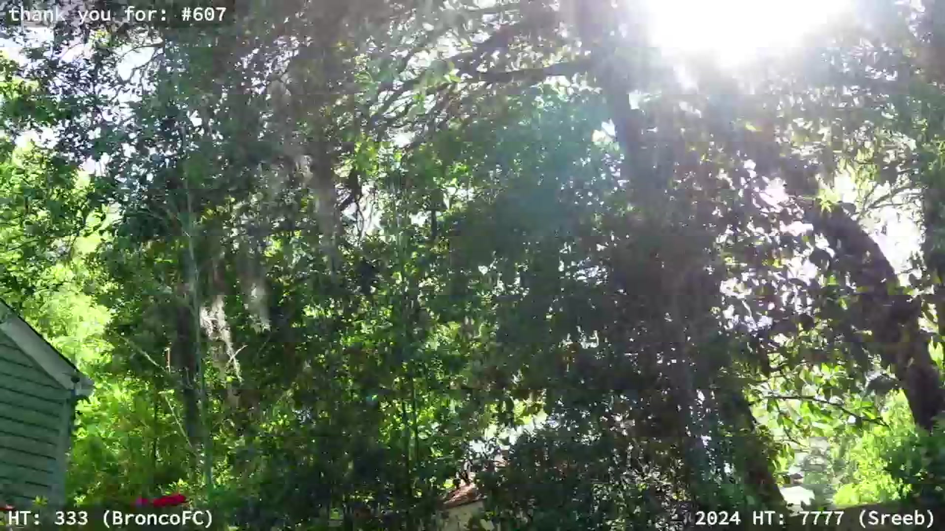 Gallery image thumbnail from hi_ella's myfreecams stream on, 04/26/2024, 20:46 image 11 of 20