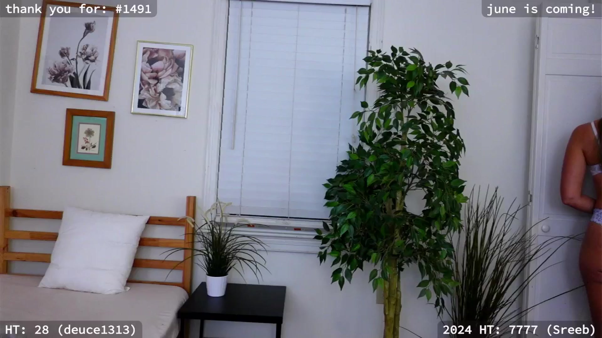 Gallery image thumbnail from hi_ella's myfreecams stream on, 05/28/2024, 01:31 image 19 of 20