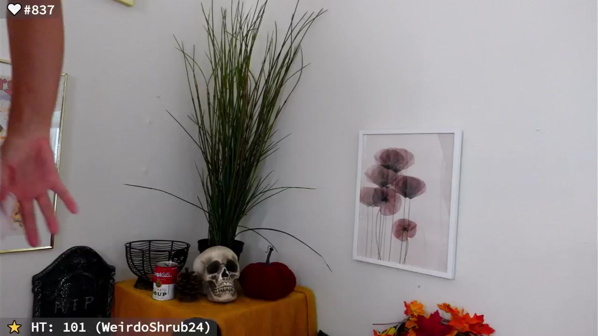 Gallery image thumbnail from hi_ella's myfreecams stream on, 10/06/2024, 20:11 image 9 of 20