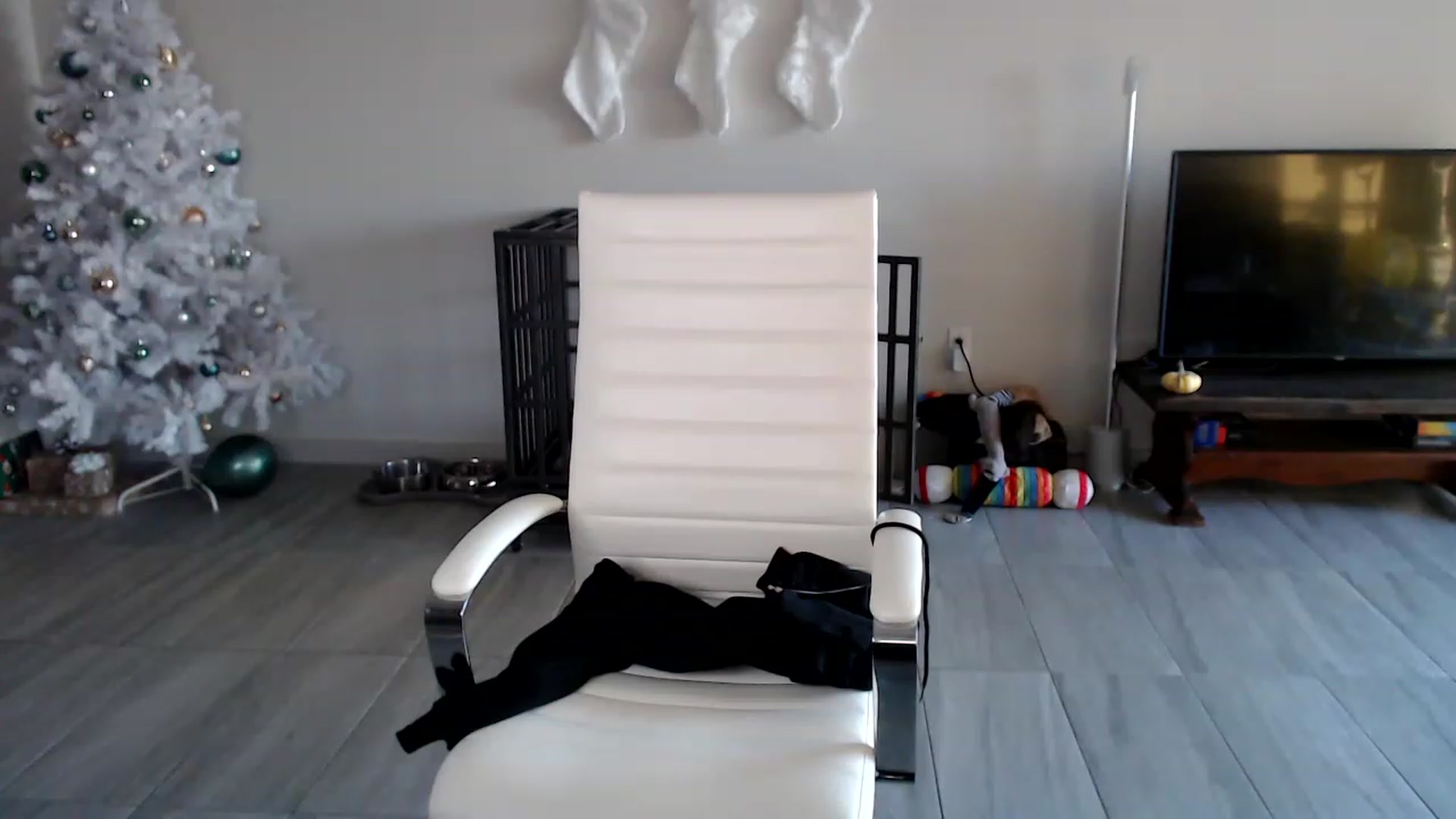 Gallery image thumbnail from highfrequency's myfreecams stream on, 12/06/2022, 22:07 image 20 of 20