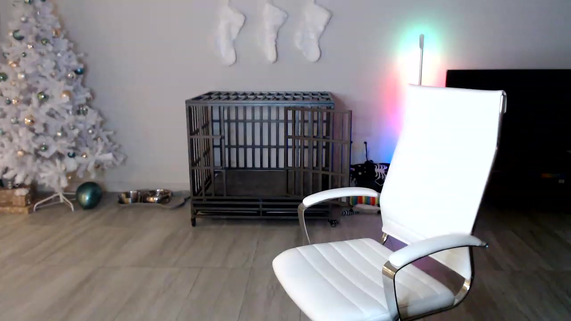 Gallery image thumbnail from highfrequency's myfreecams stream on, 12/08/2022, 01:08 image 15 of 20