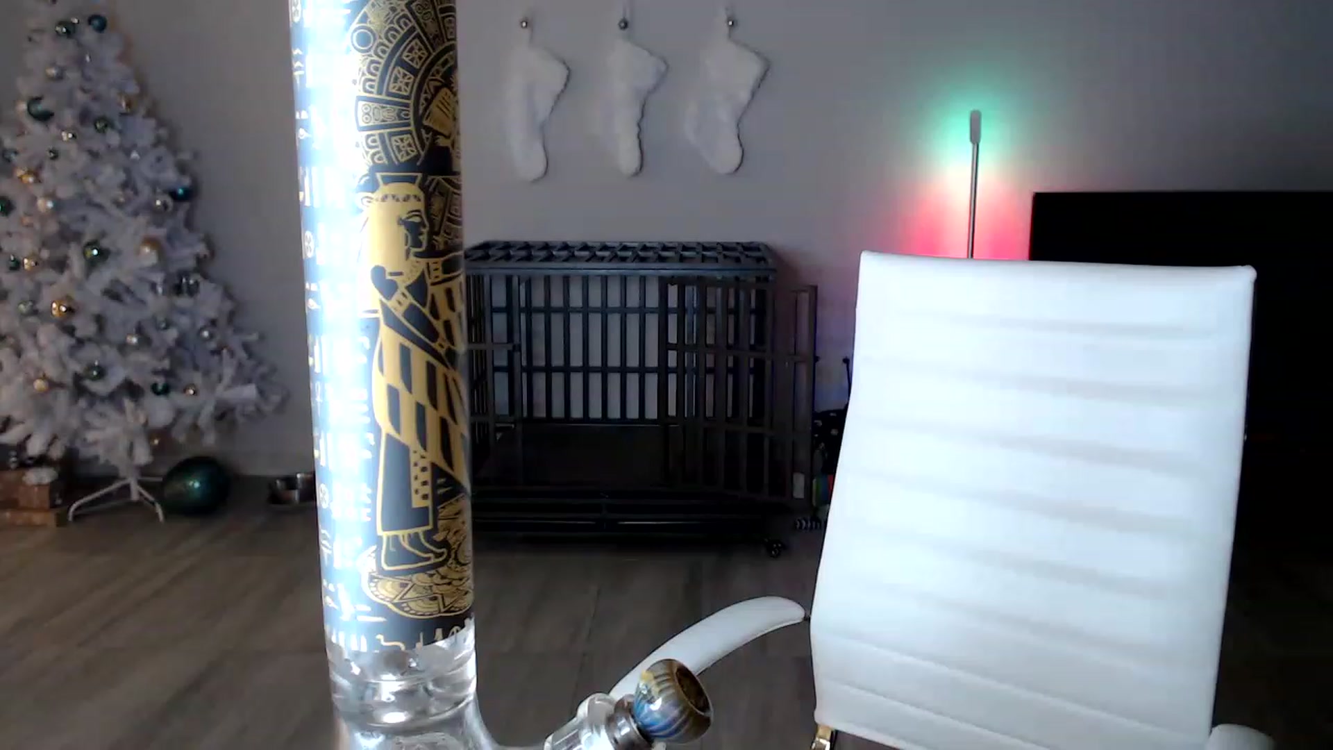 Gallery image thumbnail from highfrequency's myfreecams stream on, 12/08/2022, 01:08 image 9 of 20