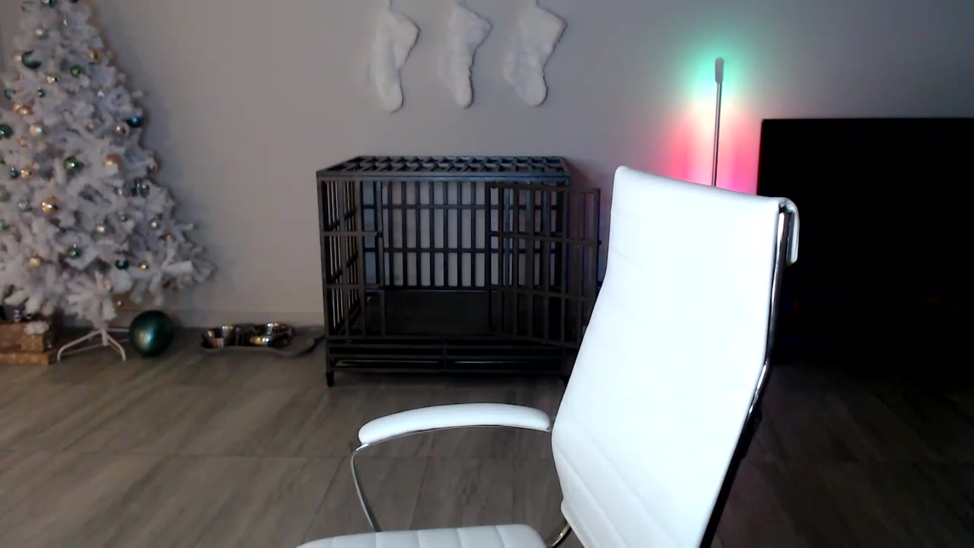 Gallery image thumbnail from highfrequency's myfreecams stream on, 12/08/2022, 01:08 image 14 of 20