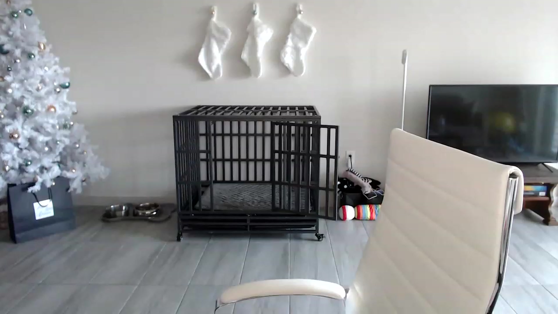 Gallery image thumbnail from highfrequency's myfreecams stream on, 12/09/2022, 20:31 image 15 of 20