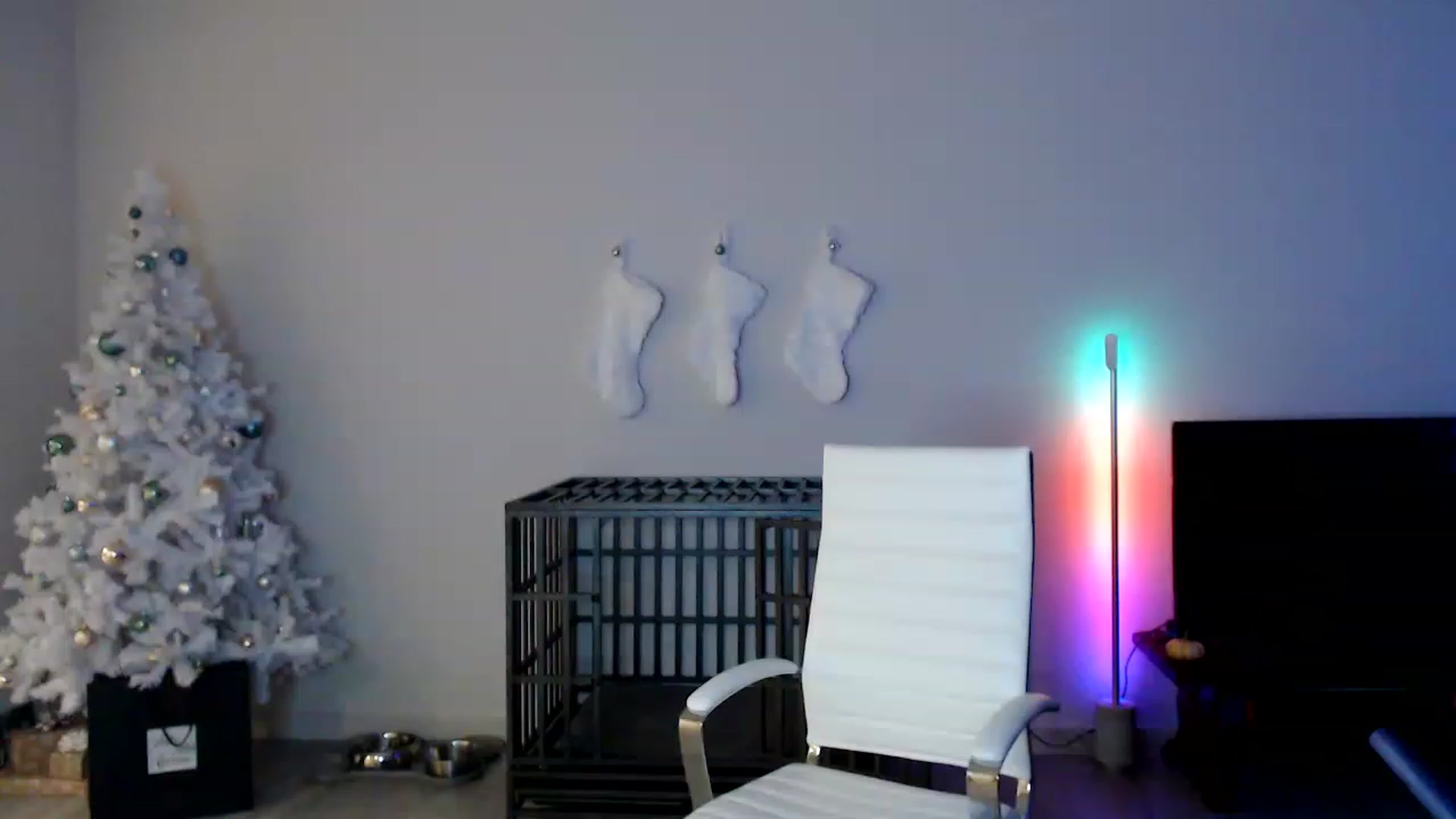 Gallery image thumbnail from highfrequency's myfreecams stream on, 12/11/2022, 03:02 image 18 of 20